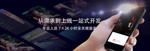 高品质软件定制开发-杭州梦古文化创意